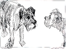 Grafiken von Werner Schinko